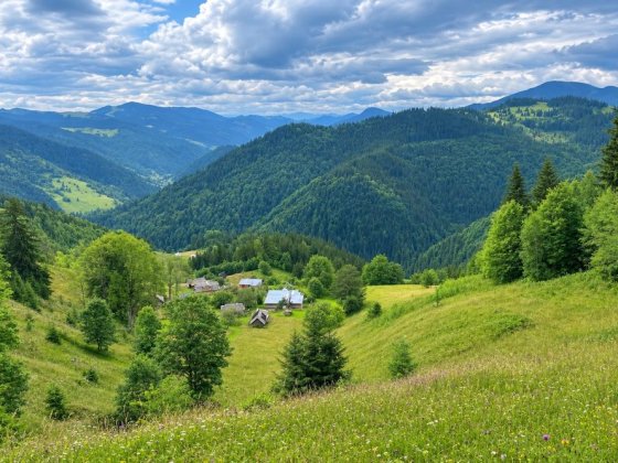 Панорамна ділянка 60 сот. біля гори Кострич | Власний простір, тиша та ліс Верховина