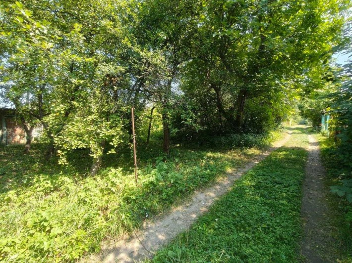 Продається дачна ділянка Черніїв, 4,5 сотки, садове товариство "Смерічка", річка, світло, природа - фото 1