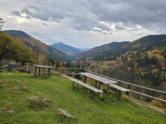 Продаю земельну ділянку в Карпатах з краєвидами. 48.5 соток. Верховина