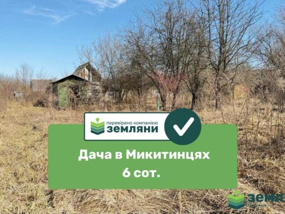 Продається дачна ділянка у с. Микитинці (7)
