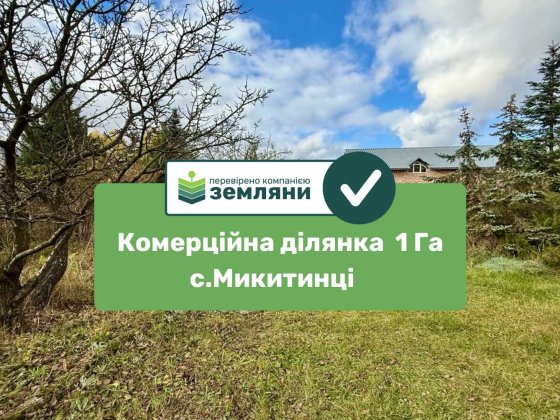 Продається ділянка 1 Га під комерцію в с.Микитинці (7)