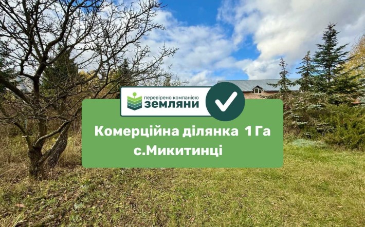 Продається ділянка 1 Га під комерцію в с.Микитинці (7) - фото 1