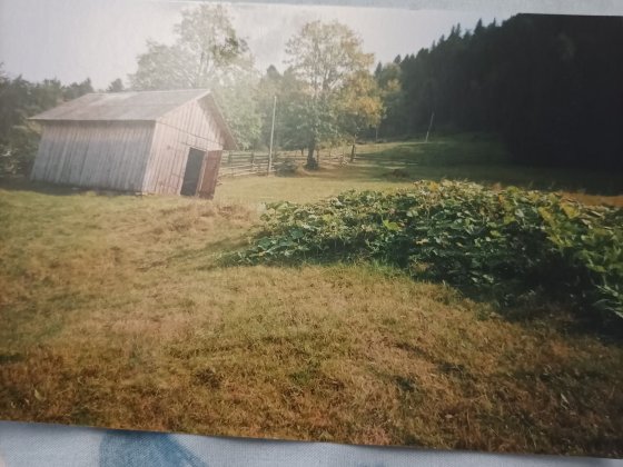 Продам Земельну ділянку у Карпатах Косів