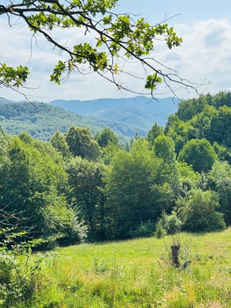 Продаж земельної ділянки біля лісу по вул. Лісна (без комісії). - фото 1