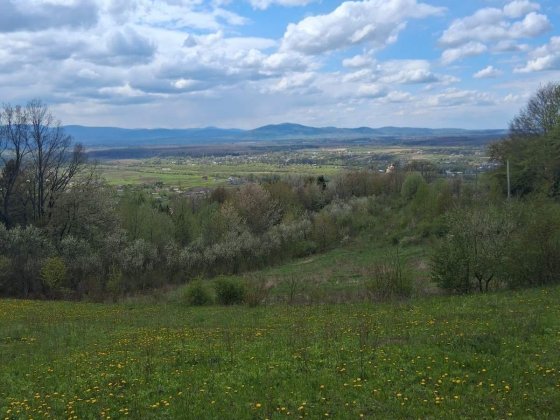 Земельна ділянка 85соток Богородчаны