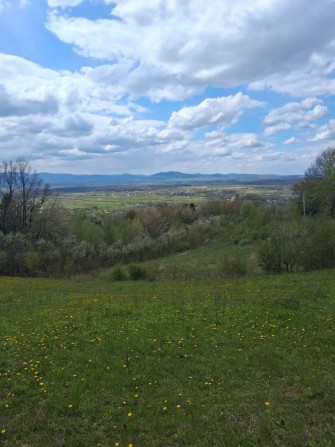 Земельна ділянка 85соток - фото 1