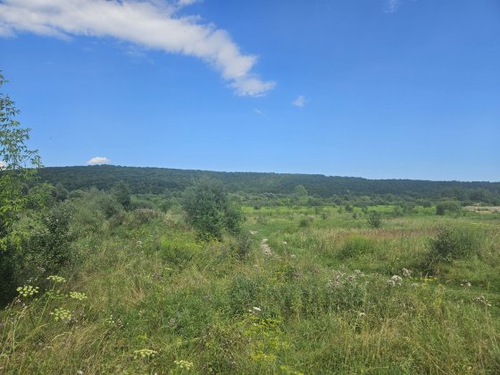 Земельна ділянка з комунікаціями в селі Клузів. Можна окремо 25 або 10
