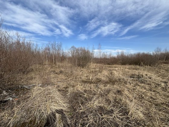 Продаж Ділянка 9 сотих для будівництва. Богородчани. Будинок. Світло Богородчаны