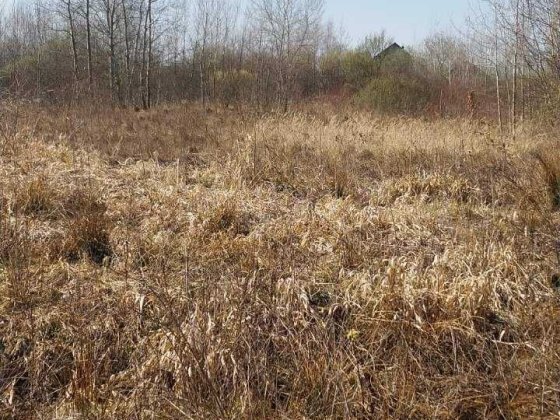 Продаж земельної ділянки під житлову забудову в Богородчанах Богородчаны