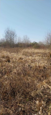 Продаж земельної ділянки під житлову забудову в Богородчанах - фото 1