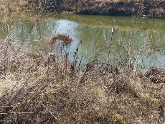 Земельна ділянка в м.Богородчани Богородчаны