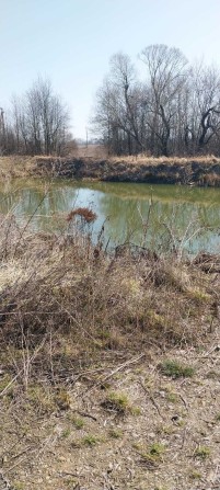 Земельна ділянка в м.Богородчани - фото 1