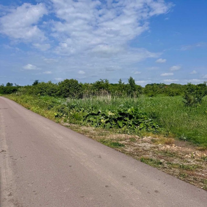 Продаж земельної ділянки 20сот. в Клузові - фото 1