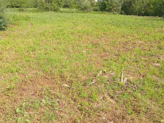Земельна ділянка в Клузові .5 хв до франківська Клузев