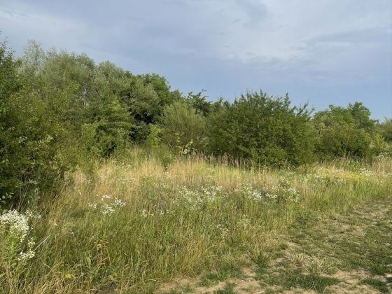 Продається дачна  ділянка Драгомирчаны