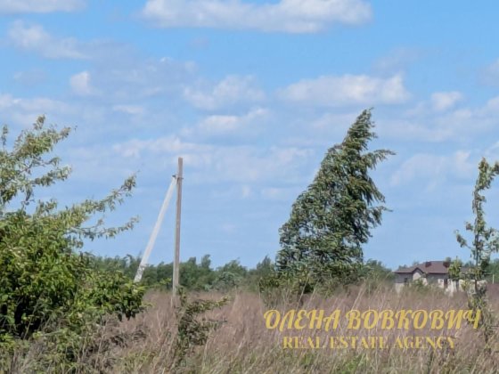 Земельна ділянка 6 сот. в с. Чукалівка, масив «Березина» Чукаловка