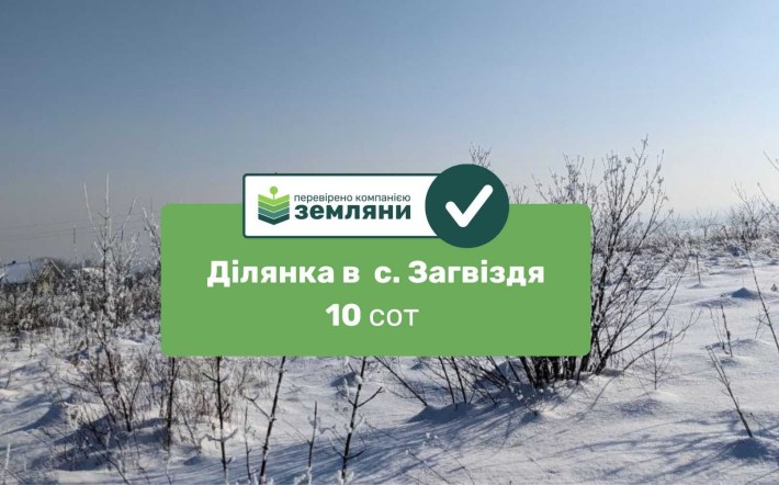 Продаж земельної ділянки у селі Загвіздя (8) - фото 1
