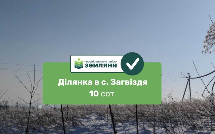 Продаж земельної ділянки у селі Загвіздя (8) - фото 1