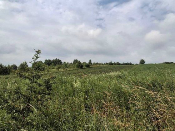 Продаж ділянки 19 соток, Підлужжя, інвестиція, природа Подлужье