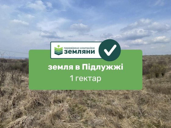 Продається ділянка 100 сот в с. Підлужжя (5) Подлужье