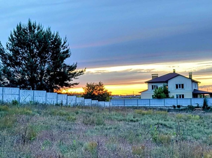 Ділянка с соснами 6 сот с. Білогородка - фото 1