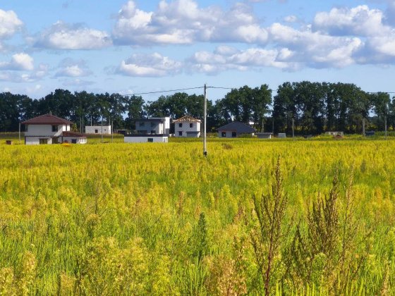 Продам земельну ділянку 5.5 соток в Святопетрівському Святопетровское