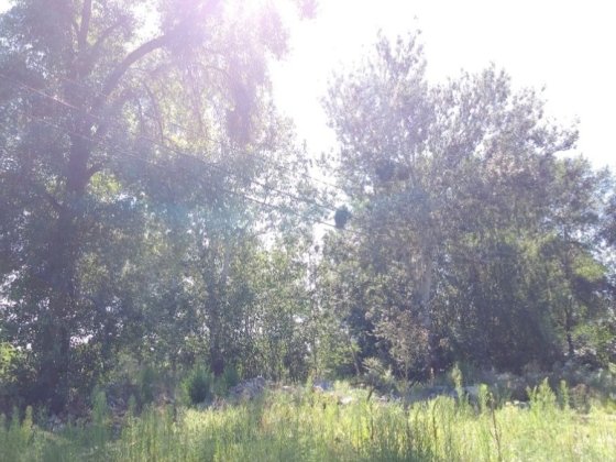 Продаж ділянки 10 соток в Рудиках. 400 м до р.Козинка.Конча- Заспа,Козин,Рудики Козин