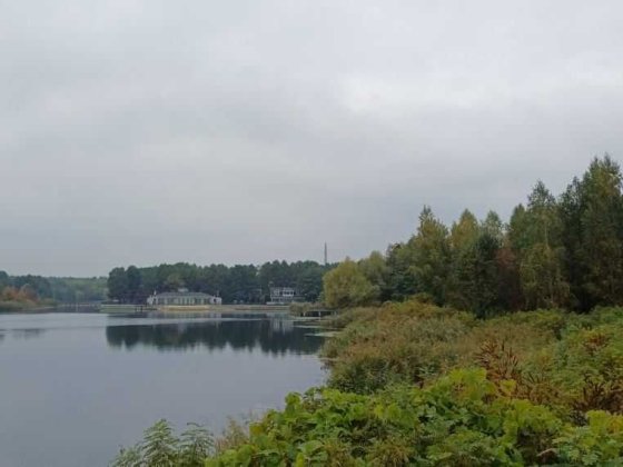 75 соток з власним виходом в Дніпро в містечку Козин