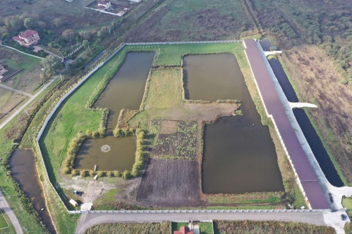 Ділянка 3.5га з озерами  цільове садівництво Білогородка - фото 1
