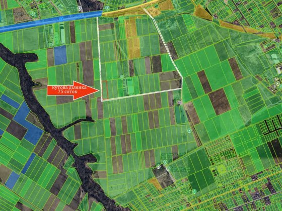 Білогородка продаж кутової ділянки 75 соток Белогородка