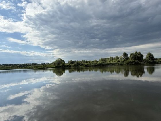 Ділянка 45 соток з виходом до води Конча-Заспа, Дамба, Козин Козин