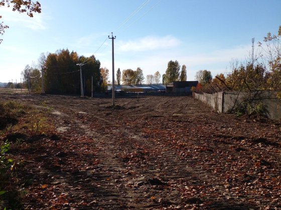 Продажа земельного участка в Белогородке с электричеством Білогородка