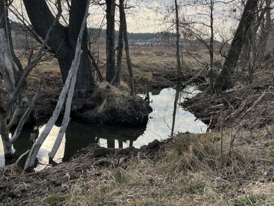продаж ділянок .. Белогородка