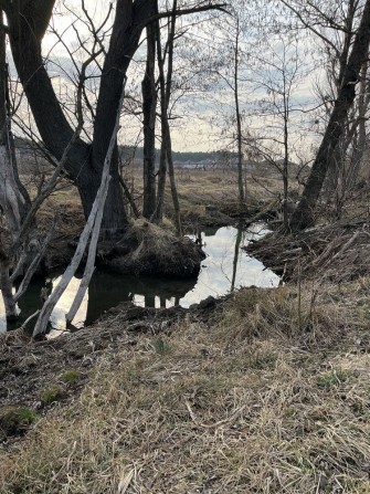 продаж ділянок .. - фото 1
