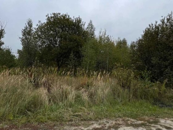 Ділянка 19 соток у Білогородці вул. Соборна , комунікації поруч Білогородка
