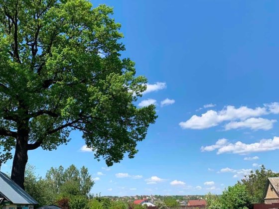 Продам земельну ділянку під будівництво село Білогородка Белогородка