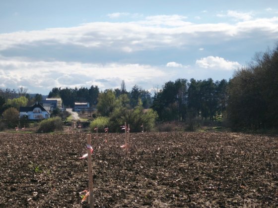 Продам земельну ділянку 5 соток в мальовничому місці с.Білогородка. Белогородка
