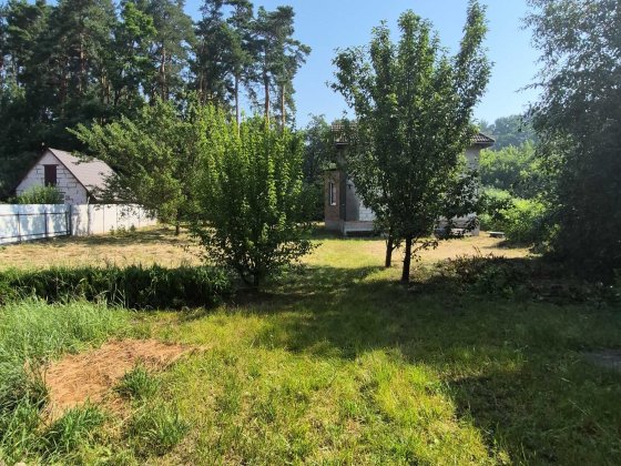 18 соток під забудову з соснами на ділянці! Білогородка/Шевченкове Белогородка