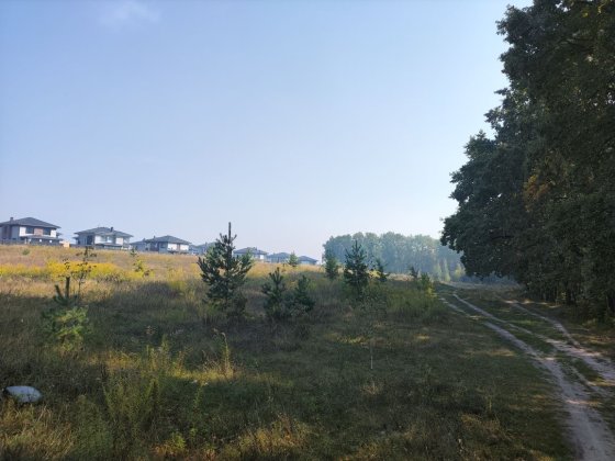 Продам земельну ділянку Ходосівка