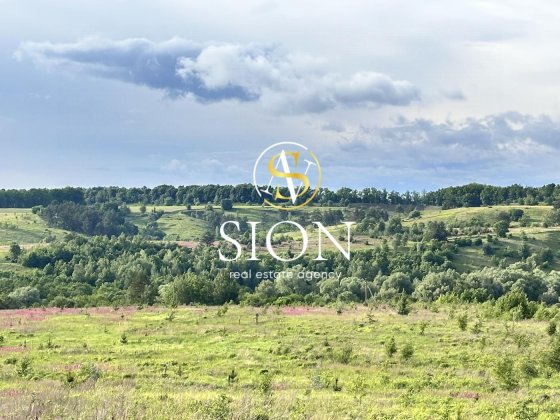 ‼️ Продаж земельної ділянки 20 Га, Ходосівка, панорама, під котеджне містечко, комплекс відпочинку Ходосівка