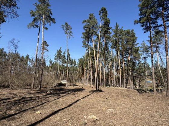 Продаж ділянок КМ Нова Ходосівка 8-10 соток с. Ходосівка Новообухівська траса всі комунікаціі МегаМа Ходосівка