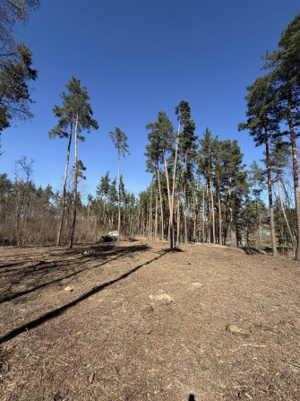 Продаж ділянок КМ Нова Ходосівка 8-10 соток с. Ходосівка Новообухівська траса всі комунікаціі МегаМа - фото 1