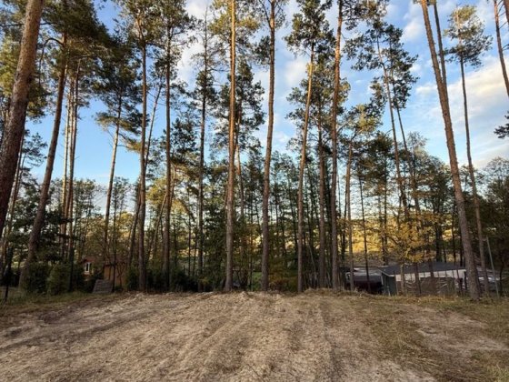 Земельна ділянка в Ходосівці | 16 соток з соснами | 20 кВт світло Ходосівка