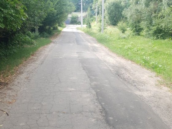 Земельна ділянка 25 соток Ходосівка