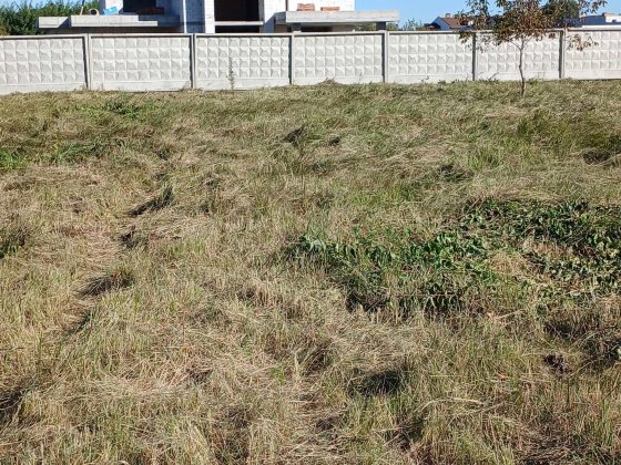 Земельна ділянка Хутір ясний Ходосівка