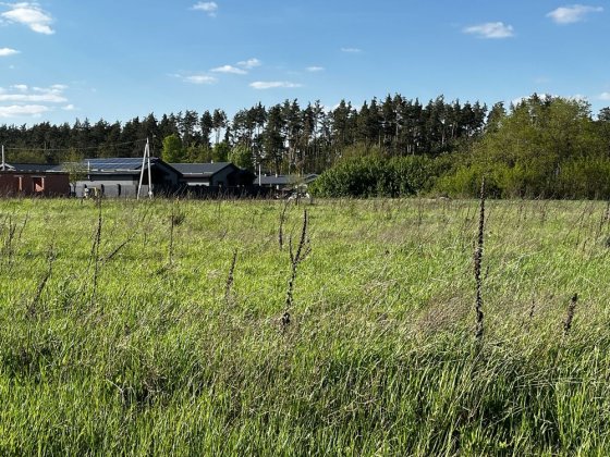 Ділянка 60 соток. Киівська обл. Ворзель, Михайлівка-Рубежівка Ворзель