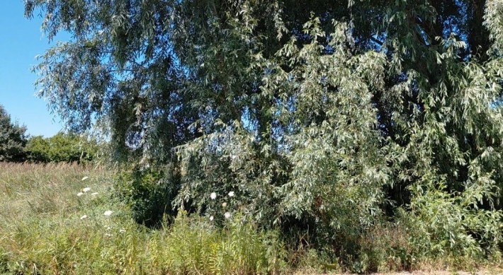 Продаж ділянки під забудову  в с.Ходосівка - фото 1