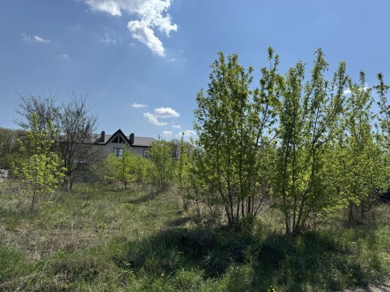 Чабани 11 соток біля лісу Чабани