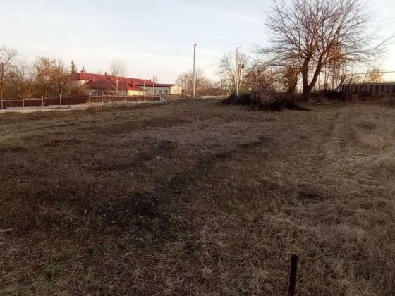 Земельна ділянка у ценрі села Ходосівка. Ходосівка