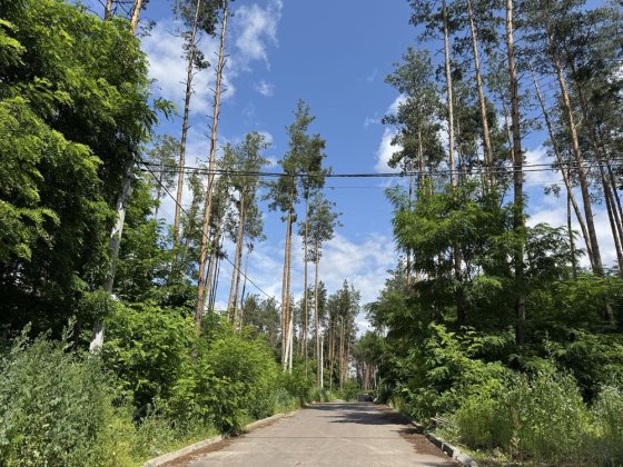 КМ Нова Ходосівка продаж ділянок від 10 сот СОСНОВИЙ ЛІС Ходосівка, AlFresco Ходосівка